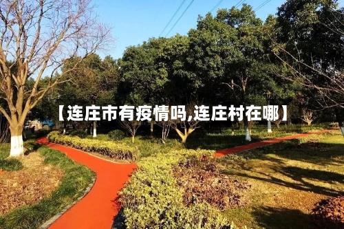 【连庄市有疫情吗,连庄村在哪】