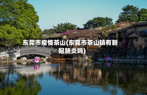 东莞市疫情茶山(东莞市茶山镇有新冠肺炎吗)-第2张图片