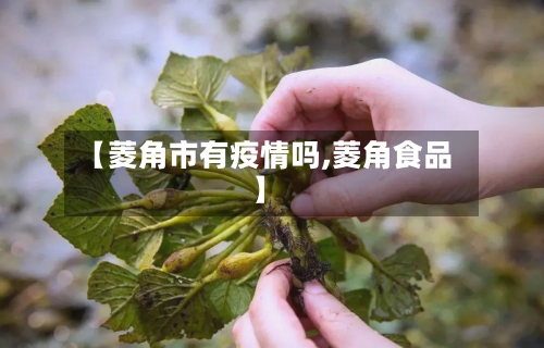 【菱角市有疫情吗,菱角食品】-第2张图片