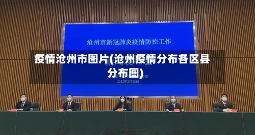 疫情沧州市图片(沧州疫情分布各区县分布图)