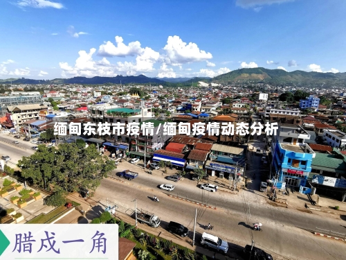 缅甸东枝市疫情/缅甸疫情动态分析-第2张图片