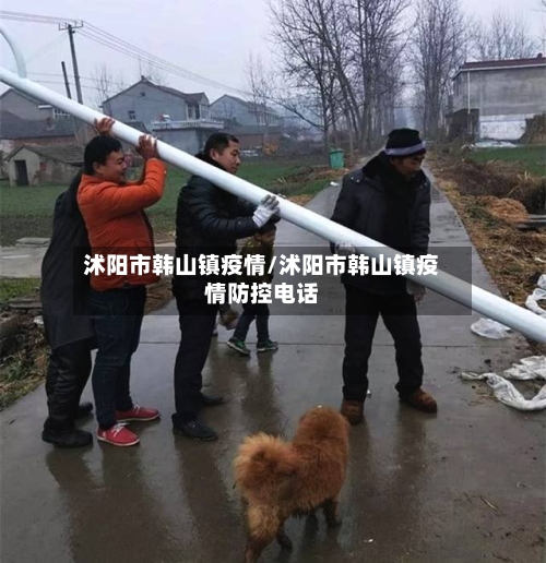 沭阳市韩山镇疫情/沭阳市韩山镇疫情防控电话-第1张图片