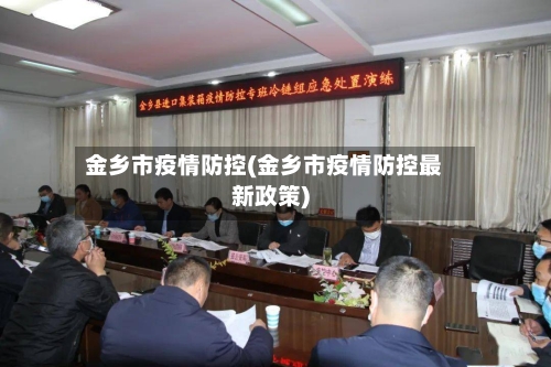 金乡市疫情防控(金乡市疫情防控最新政策)-第2张图片