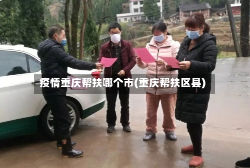 疫情重庆帮扶哪个市(重庆帮扶区县)-第2张图片
