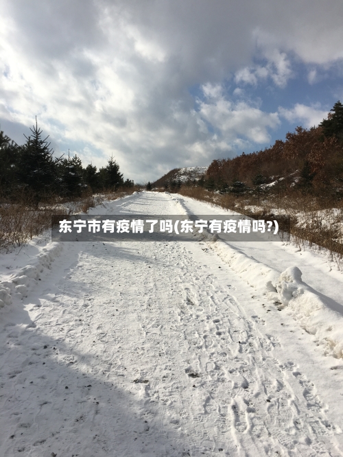 东宁市有疫情了吗(东宁有疫情吗?)